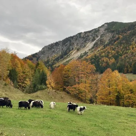 Bett & Berge - In Den Schlierseer Bergen * Schliersee