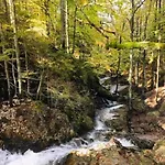 Bett & Berge - In Den Schlierseer Bergen *